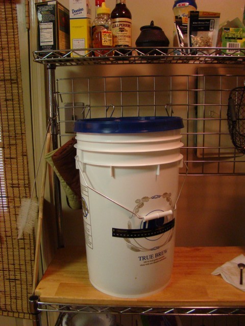 Fermenting bucket, on the counter