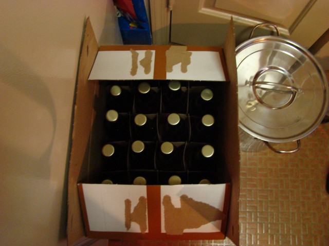 Beer in bottles in a case