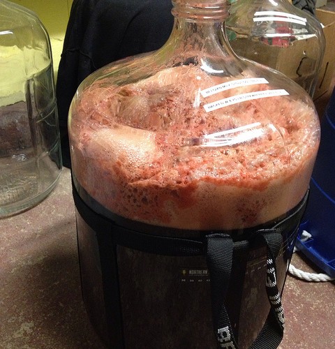 Strawberry Belgian Milk Stout, Part 2: Secondary Fermentation and Kegging