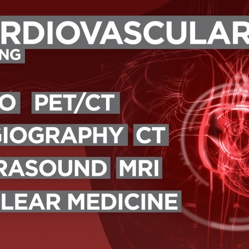 Cardiocore Concept Art