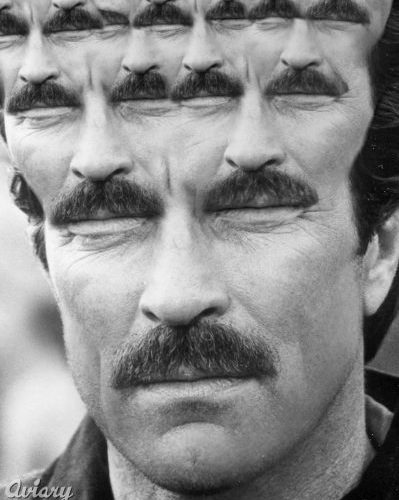 Fractal Tom Selleck